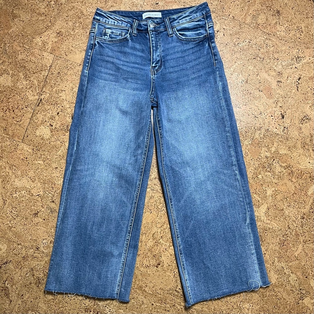 Flying Monkey Wide Leg Crop High Rise Jean In Sagacity Sz 27